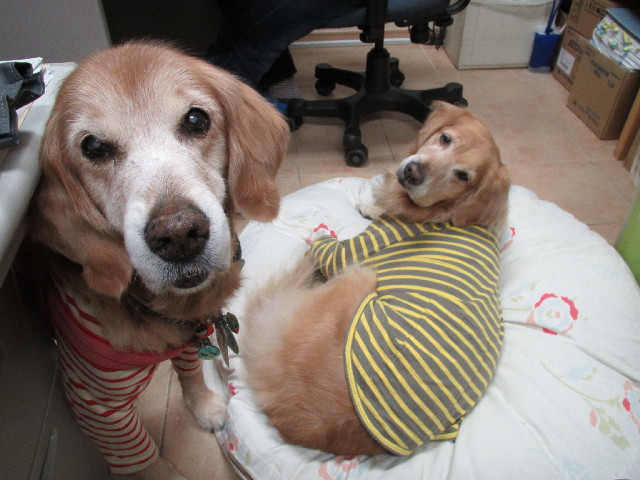 ファイル 2773-4.jpg