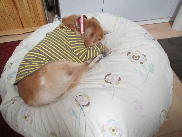 ファイル 2773-5.jpg