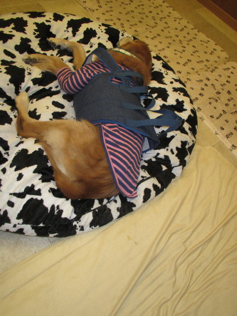 ファイル 2774-4.jpg