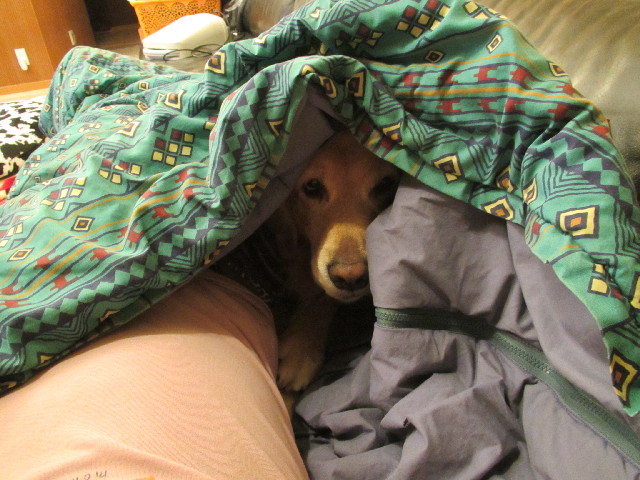 ファイル 2774-5.jpg