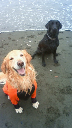 ファイル 2776-1.jpg