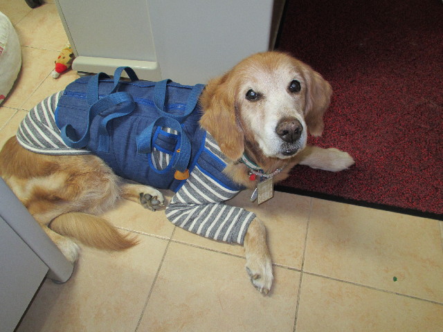 ファイル 2776-5.jpg