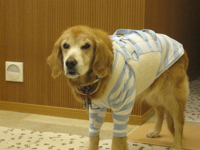 ファイル 2777-4.jpg