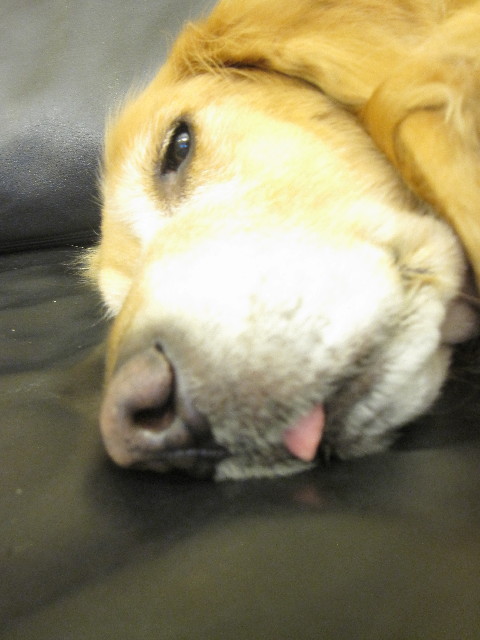 ファイル 2777-5.jpg