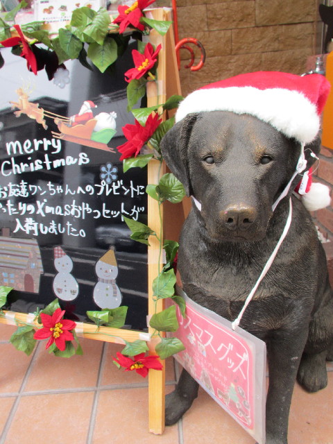 ファイル 2778-1.jpg