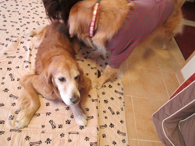 ファイル 2778-4.jpg