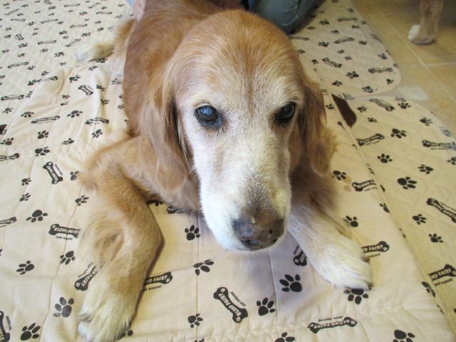 ファイル 2778-5.jpg