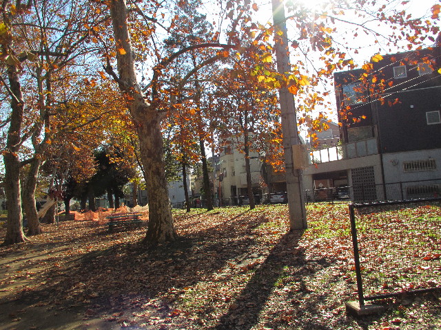 ファイル 2779-1.jpg