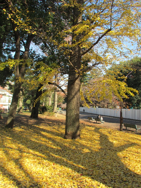 ファイル 2779-5.jpg