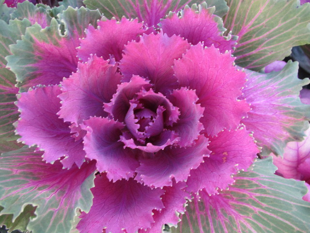 ファイル 2783-4.jpg