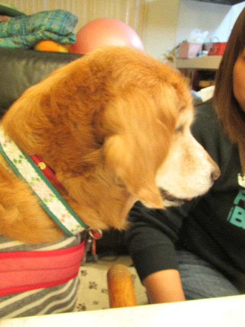 ファイル 2785-3.jpg