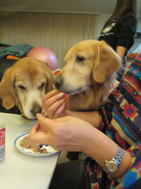 ファイル 2785-5.jpg