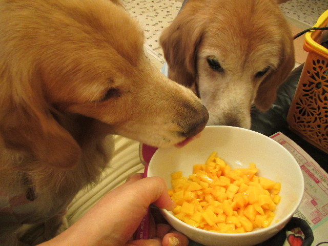 ファイル 2787-1.jpg