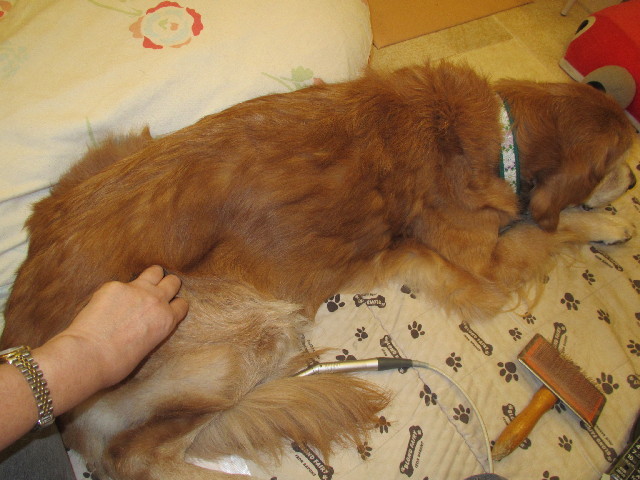 ファイル 2787-5.jpg