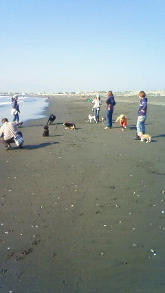 ファイル 2789-2.jpg