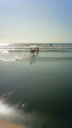 ファイル 2789-5.jpg