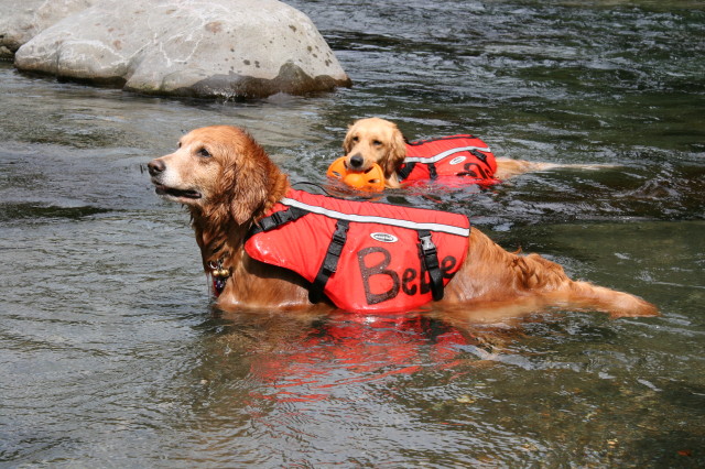 ファイル 279-1.jpg