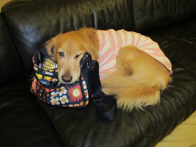 ファイル 2790-4.jpg