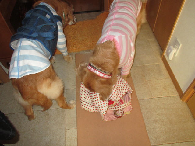 ファイル 2790-5.jpg