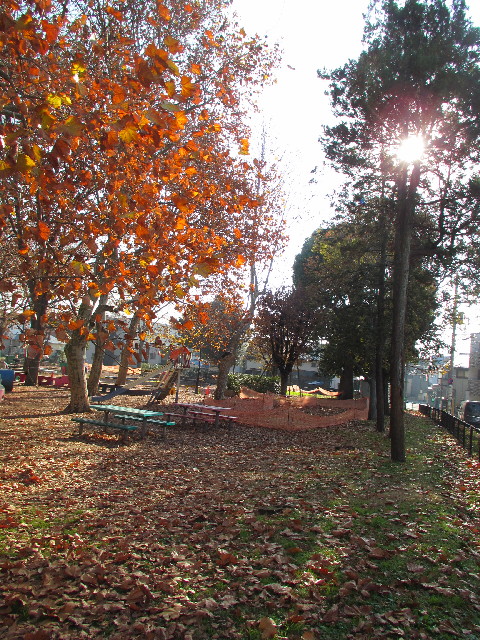 ファイル 2791-2.jpg