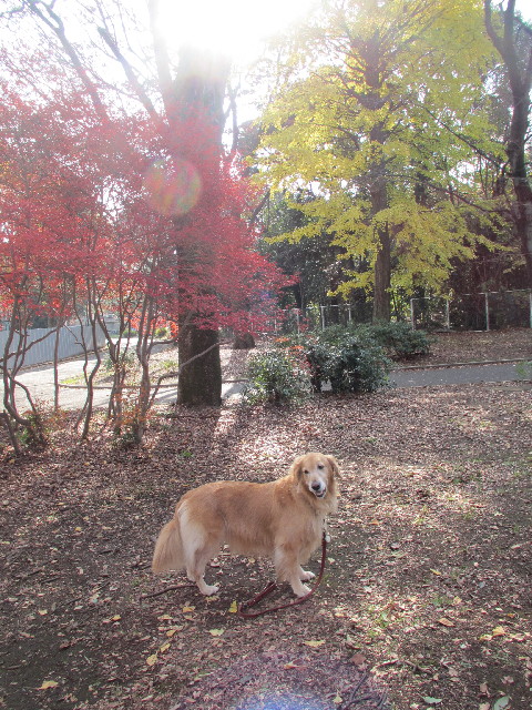 ファイル 2791-3.jpg