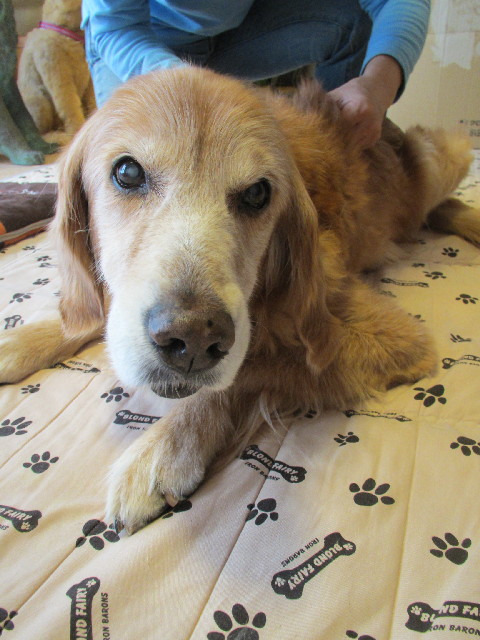 ファイル 2791-4.jpg