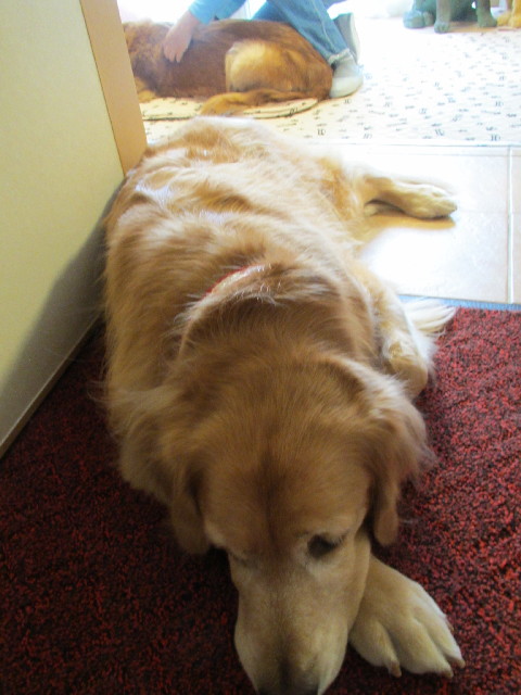 ファイル 2791-5.jpg