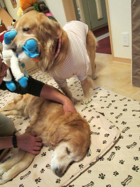 ファイル 2795-3.jpg