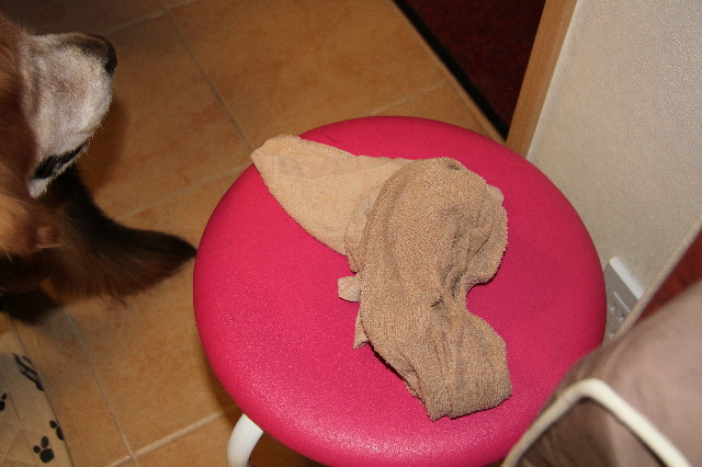 ファイル 2799-5.jpg