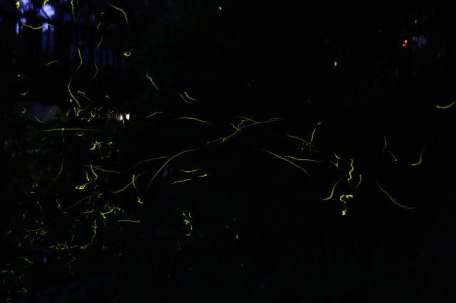 ファイル 280-1.jpg