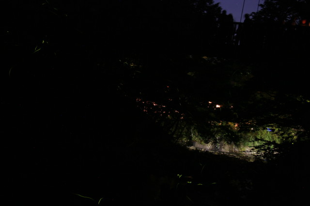 ファイル 280-3.jpg