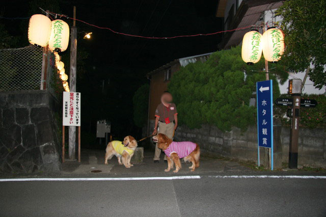 ファイル 280-5.jpg