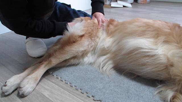 ファイル 2800-2.jpg