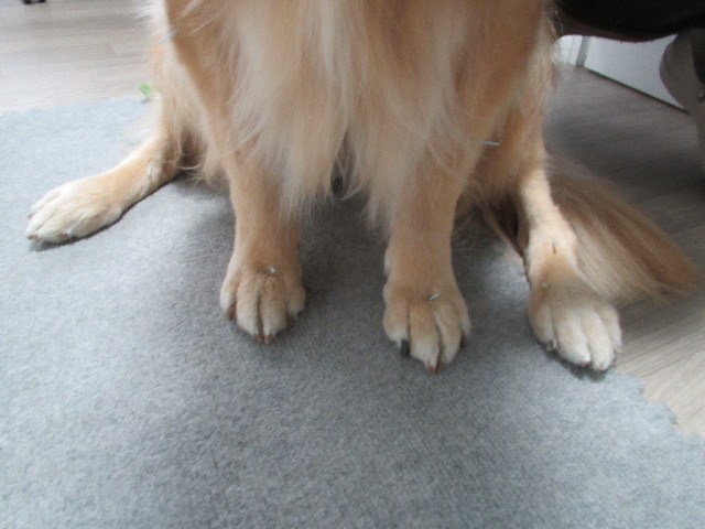 ファイル 2800-5.jpg