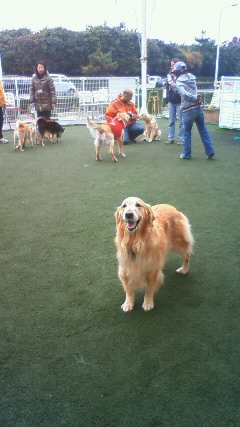 ファイル 2801-1.jpg