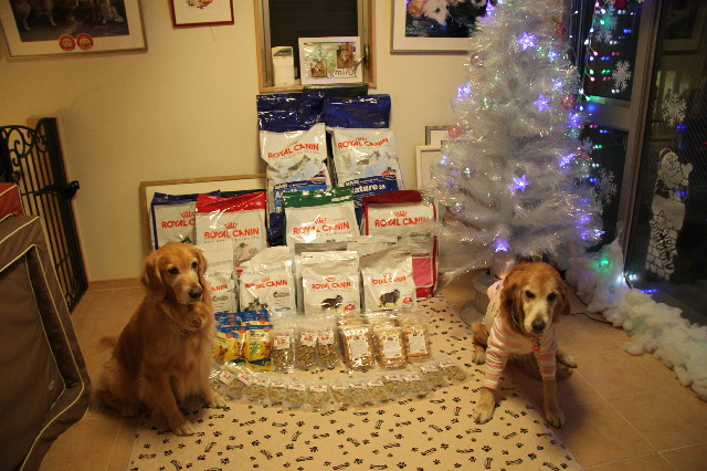 ファイル 2803-1.jpg