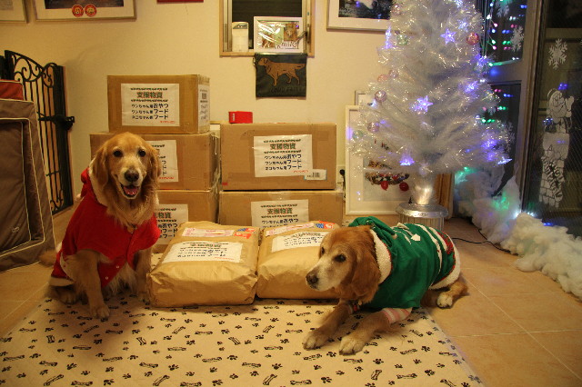 ファイル 2803-5.jpg