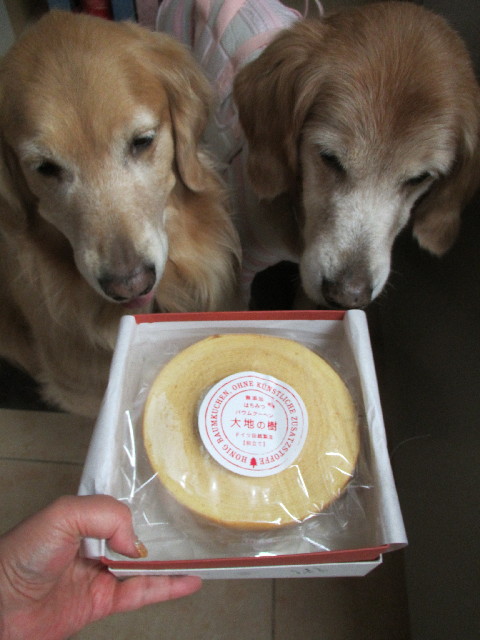 ファイル 2804-2.jpg