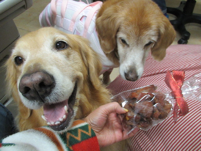 ファイル 2804-5.jpg