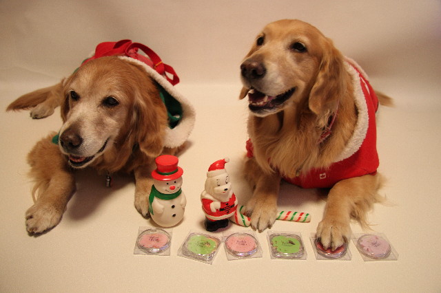 ファイル 2807-3.jpg