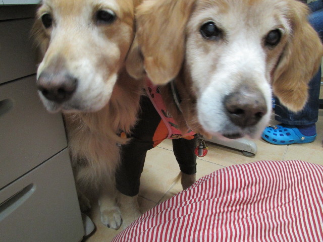 ファイル 2808-5.jpg