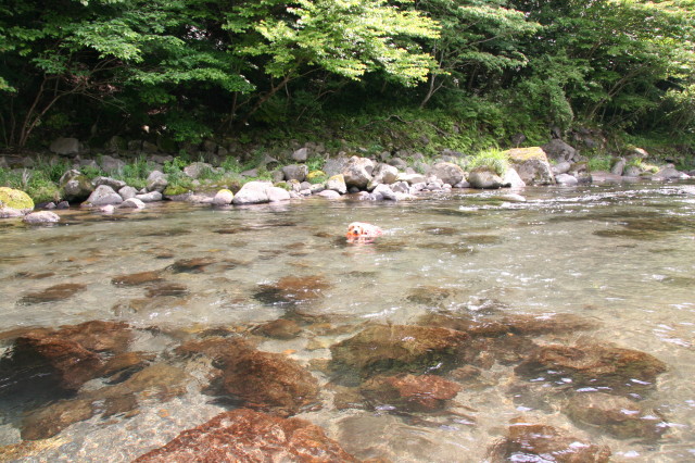 ファイル 281-2.jpg