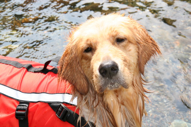 ファイル 281-3.jpg