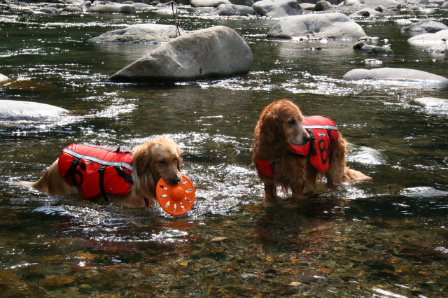 ファイル 281-5.jpg