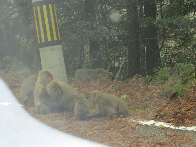 ファイル 2813-5.jpg