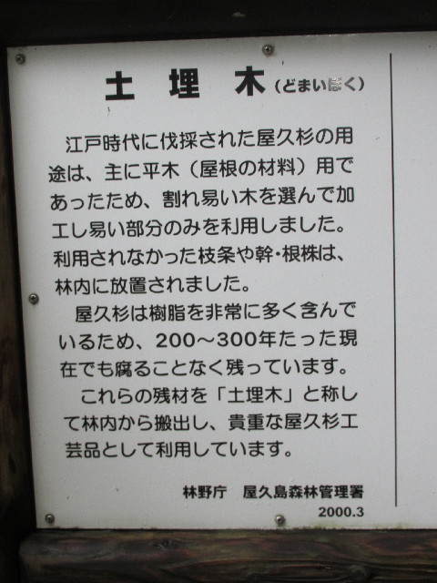 ファイル 2816-3.jpg