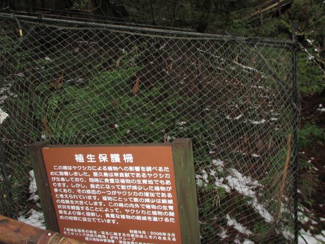 ファイル 2817-4.jpg