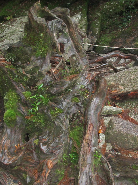 ファイル 2819-5.jpg