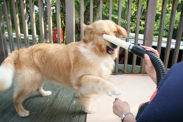 ファイル 282-1.jpg