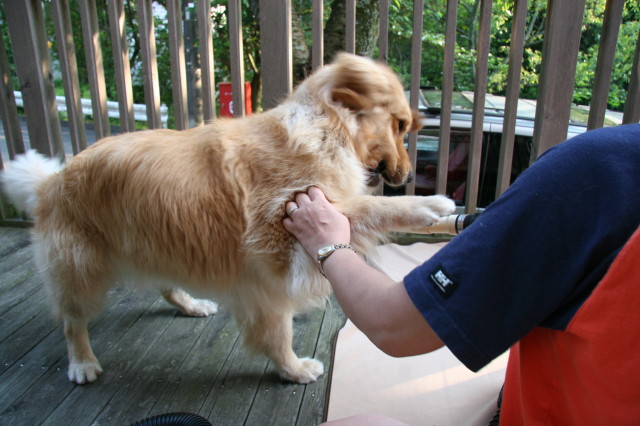 ファイル 282-2.jpg